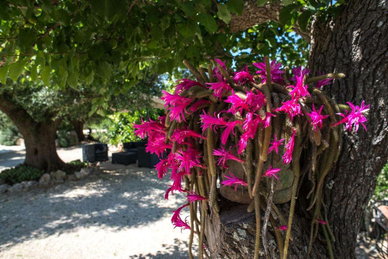 Agriturismo Grotta Di Figazzano Cisternino Exteriör bild